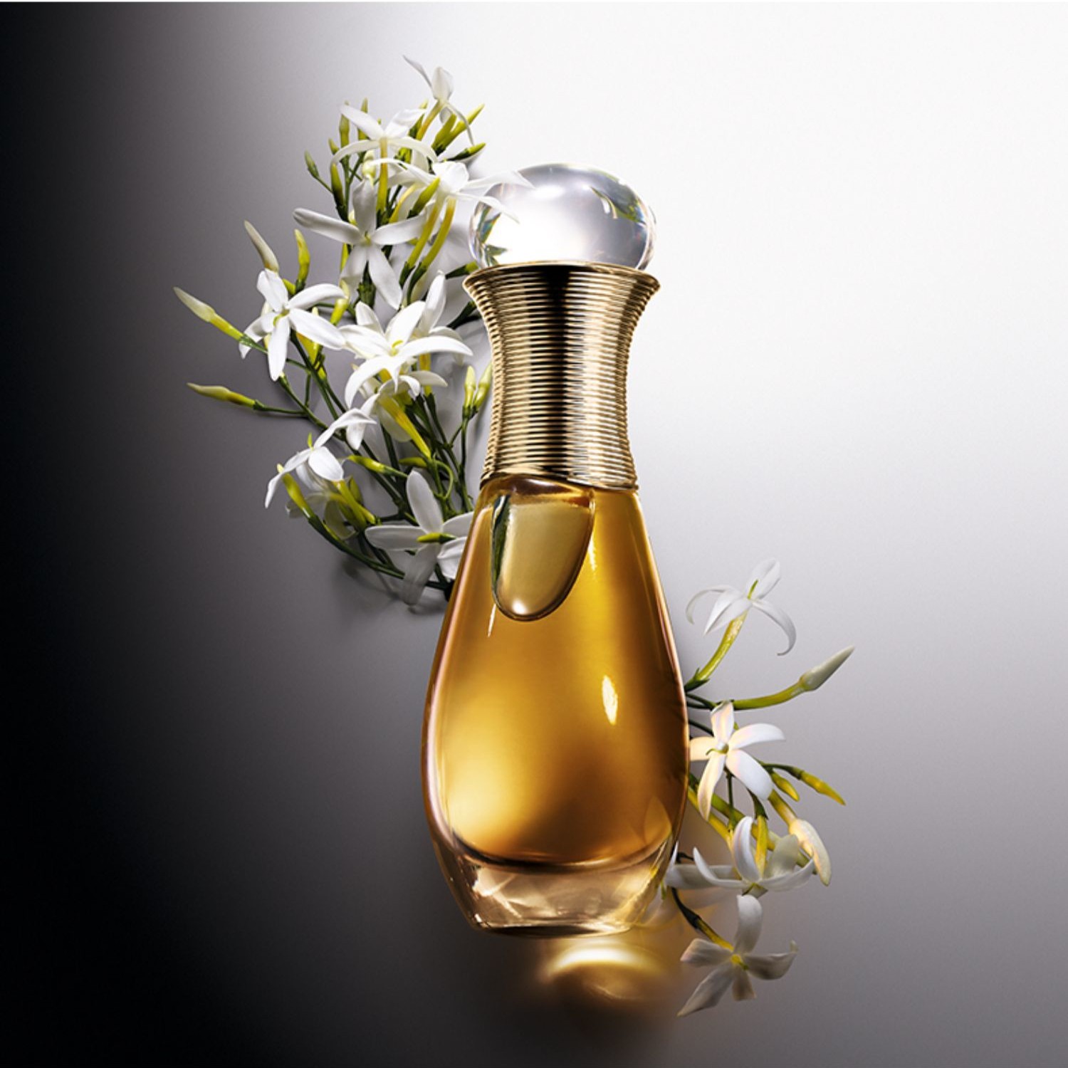 Dior Authentic Fragrance Classic